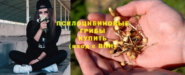 экстази Алексин
